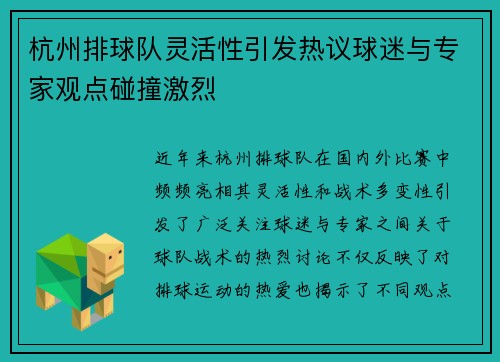 杭州排球队灵活性引发热议球迷与专家观点碰撞激烈